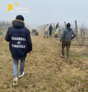Pordenone, azienda agricola occupa in numerosi lavoratori in nero e irregolari: sanzione per 500mila euro