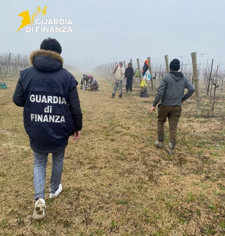 Pordenone, azienda agricola occupa in numerosi lavoratori in nero e irregolari: sanzione per 500mila euro