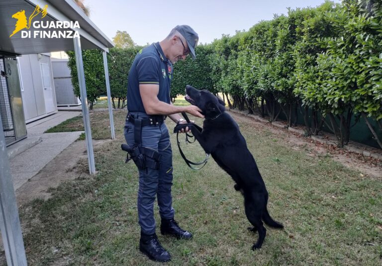 Treviso, Escor il cane antidroga va in pensione