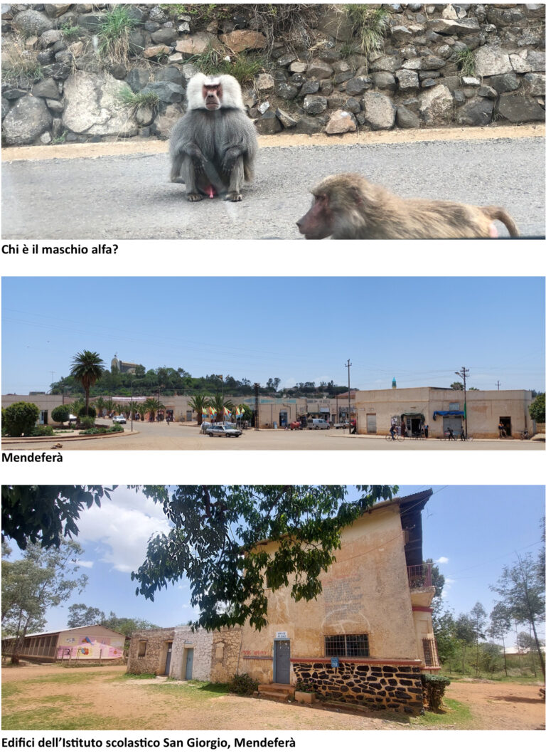 ASMARA E OLTRE: istruzioni per sorprendersi (9/23)