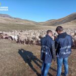 Padova, frode agricola ai danni dell’Unione Europa
