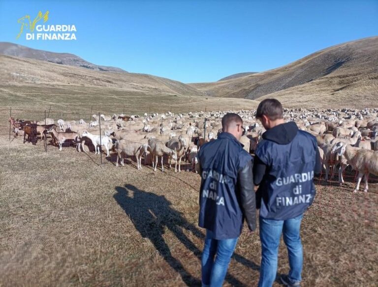 Padova, frode agricola ai danni dell’Unione Europa